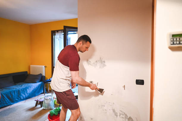 Mold Testing and Removal in Demarest, NJ